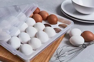 簡單樂活 BI-5991 真鮮蛋盒 雞蛋盒 保鮮盒 24個雞蛋 收納盒 攜蛋盒 無毒材質