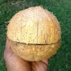 CEYLON NATURAL ECO FRIENDLY COCONUT SHELL 100% ORGANIC COCONUT SHELL HALVE(2PCS)