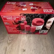 Caruso Professional Molecular Steam Hairsetter 30 Hair Rollers 4 Sizes NEW