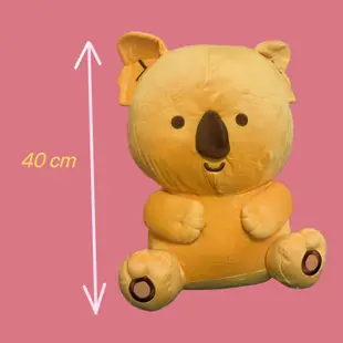 小熊餅乾 日本限定 樂天 無尾熊 玩偶 娃娃 生日 收藏