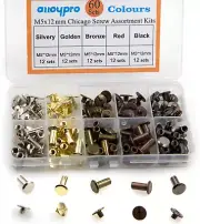 "60 Sets Chicago Screws Assorted Kit, 5 Color Leather Rivets, Flat & Fillister B