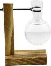 Propagation Vases for Plants - Test Tube Hydroponic Rack Clear Propagating Station with Wooden Stand | Vase Jars, Glass Hydroponic Container for Women, Mom