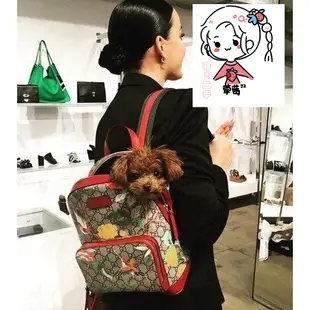 【菲兒二手】Gucci 427042 Tian GG Supreme backpack 天地花鳥後背包 紅