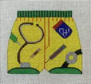 Hand Painted Needlepoint Canvas Shorts with Medical Items 18 Count Unbranded