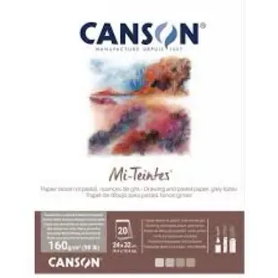 法國 CANSON Mi-Teintes 31032 23*32 32*41 康頌 色粉紙 160g 20張 粉彩 炭筆