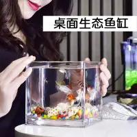 在飛比找樂天市場購物網優惠-小魚缸水族箱客廳小型桌面創意家用水晶玻璃生態迷你金魚缸方形