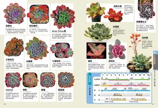 多肉植物栽種聖經完全圖鑑版630: 集結60年研究經驗, 栽培年曆獨家收錄! 教你從外觀辨識、種植技巧、到組合盆栽應用, 走進迷人的多肉世界!