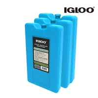 在飛比找PChome24h購物優惠-IgLoo 保冷劑 MAXCOLD 25201 ( L | 