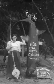 Female Angler Holds Thresher Shark In Mayor Island 1955 Old Fishing Photo