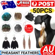 ALL TYPES Feathers Peacock Rooster Goose Guinea Duck Pheasant DIY Craft Wedding