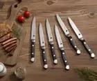 Stainless Steel Steak Knife Set - Highly Polished Handles