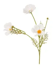 [Florabelle] Coco 3 Heads Cosmo 50cm in White