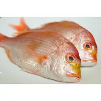 在飛比找蝦皮購物優惠-鮮豔肥美的赤鯮魚(每斤約4~6條裝)