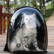 Manufacturer directly supplies cat bags, pet backpacks, portable and transparent