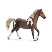 Trakehner Stallion