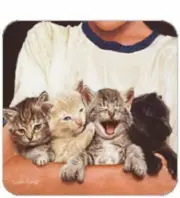 Cork Back Coaster-Cat Design-HANDFUL OF KITTENS-Create Your Own Set!