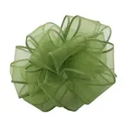 Offray ISS-040-50-KIK Kiwi Wired Edge Ribbon