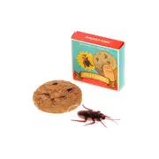 Rex London Classic Joke Cookie