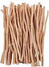 Gatuida 50Pcs Natural Dried Birch Twigs for DIY Crafts and Home Decor Thin Rustic Sticks Branches for Creative Landscaping and Unique Embellishments Approximately