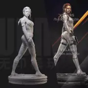 1/24 Resin Black Widow Unpainted Unassembled 2022