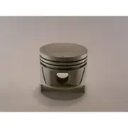 Austral Piston Set - PO1318 020