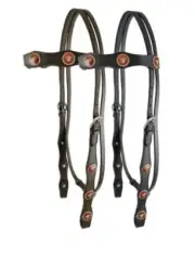 Leather Browband Headstall w/ Steer Head Conchos & Reins