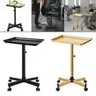 Salon Rolling Tray Cart Storage Utility Cart Salon Tray on Wheels for Beauty