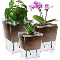 在飛比找蝦皮商城精選優惠-3 件裝自澆花盆套裝花盆,適用於室內植物透明花盆,帶深水庫,
