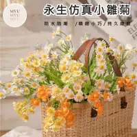 在飛比找momo購物網優惠-【MYUMYU 沐慕家居】仿真永生花小雛菊 4支(人造花 永