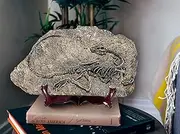 LAGOM House Resin Fossils Dinosaur Model/Dinosaur Fossil Replica/Velociraptor Model/Skeleton Raptor in Home | Office | School (11.4X 7in) (Style β)