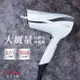 TESCOM 防靜電大風量吹風機 TID2200TW-白【全館免運】