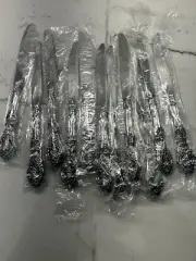 NEW Oneida MICHELANGELO 12 Butter Knives Flatware Stainless