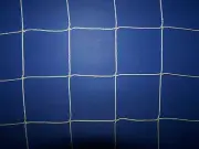 50' x 30' SOCCER FOOTBALL HARD IMPACT NET DEER FENCE NYLON NETTING 4" #36