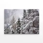 The First Big Snowfall of winter Print 100% Australian Made 120 x 90cm (Stretched)