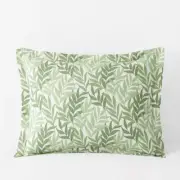 Company Cotton Tulum Leaf Moss Green Floral Cotton Percale Standard Sham