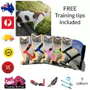 Cat Harness Kitten Pet Lead Set Walking Nylon Leash Safety Clip Adjustable Small