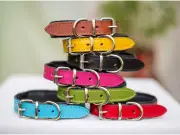 Customized Leather Dog Collar Large Engraved Dog Collar Large Blue XL Collar