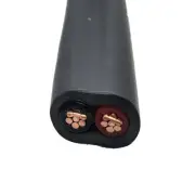 16mm XLPE Two Core Copper Mains Cable (per metre)