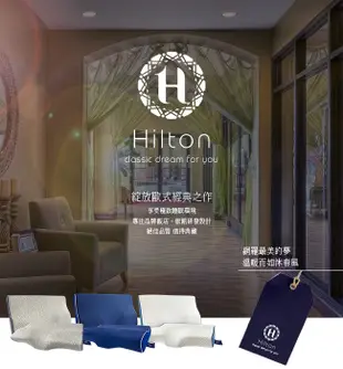 【Hilton 希爾頓】水立方釋壓蝶型記憶枕/3D防鼾枕/三款任選(枕頭/蝶型枕)(B0044) (1.6折)
