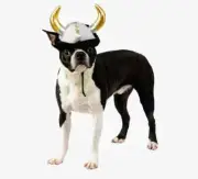 Rubie's Pet Shop Halloween Costume Viking Hat Size S/M Dog Hat New