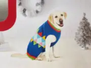Pet Sweater Target Wondershop Medium Dog Christmas 40lbs -Beagle Corgi Collie