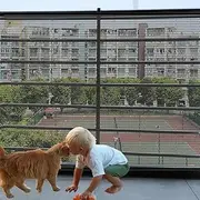 Balcony Safety Net for Kids Banister Guard Pet Netting Pets-15ftx3ft Thick Rail Apartment Cat Fence Railings Stair Guards, Black