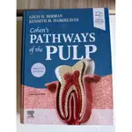 COHEN’S PATHWAYS OF THE PULP, 12TH EDITION.