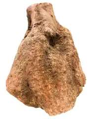 Pipe-making European Briar Burl - 9" x 7" x 6" [E-666]