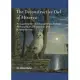 The Deconstructive Owl of Minerva: An Examination of Schizophrenia Through Philosophy, Psychoanalysis and Postmodernism