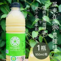 在飛比找誠品線上優惠-享檸檬 檸檬原汁 950ml/瓶