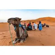 Save 10.00%! Ouarzazate To Erg Chegaga Dunes & Camel treks in 2 Days