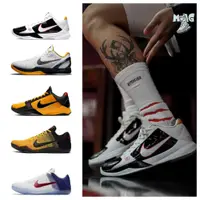 在飛比找蝦皮購物優惠-Kobe 5 Kobe 6 Protro 11 李小龍 科比