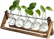 Plant Terrarium with Wooden Stand, Desktop Propagation Stations Glass Terrarium Planter Holder for Indoor Live Hydroponics Plants Home Garden Office Decoration(5 Bulbs Vase, Brown)