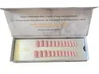SISTACO Sustainable Nails Snapdragon Oval Medium BNIB Unused Press-on Nails